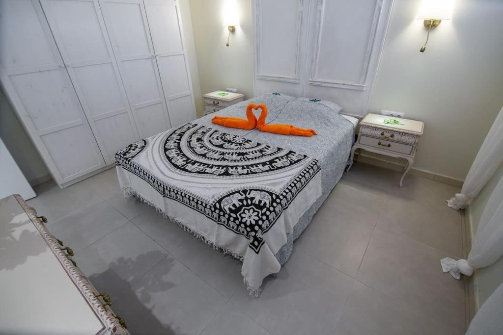 Chaparal Design Appartement