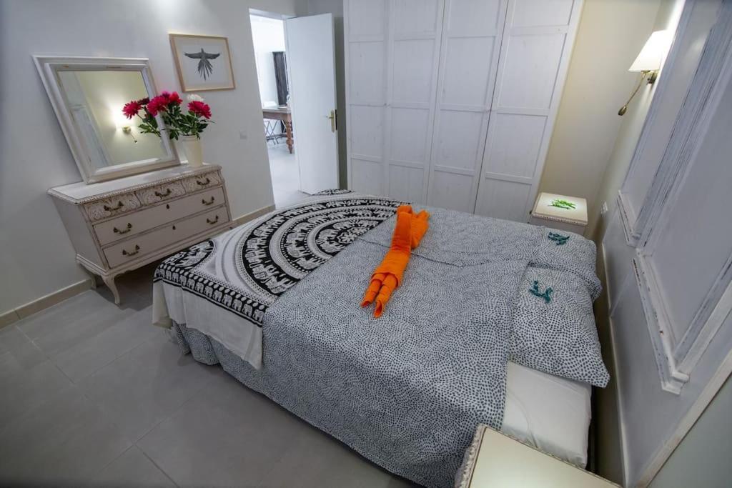 Appartement Chaparal Design